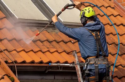 Démoussage et hydrofuge de toiture à Landresse